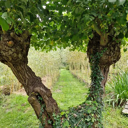 Domaine Les Bruyeres 3* Gambais